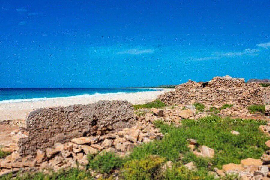 Boa Vista Full Day 4x4 Island Tour with Beachfront Lunch - Visiting the Iconic Shipwreck on Santa Maria Beach