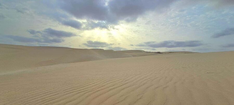Boa Vista: Full-Day Combi Tour with Lunch - Final Thoughts: Is This Tour Right for You?