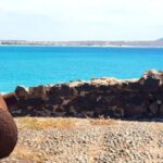 Boa Vista: Motoryacht Trip with Fishing, Snorkel, Beach BBQ - Why This Tour Offers Good Value