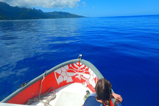 Boat tour 1/2 day Excursion in the lagoon of Moorea - Frequently Asked Questions