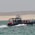 Boavista: Whale Watching half day trip - FAQ