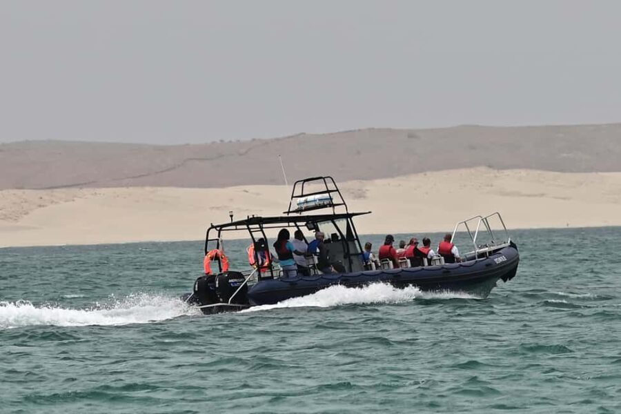 Boavista: Whale Watching half day trip - FAQ