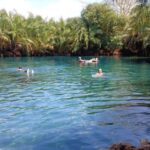 Boma Ng'ombe: Chemka Hot Springs Day Trip - What to Expect on the Day
