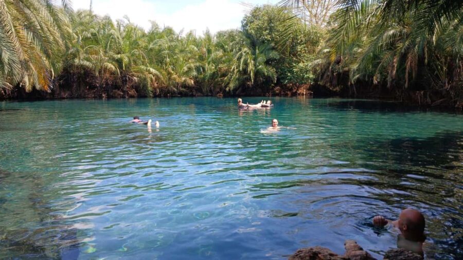 Boma Ng'ombe: Chemka Hot Springs Day Trip - What to Expect on the Day