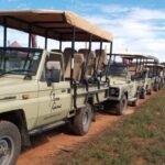 Bon Game Reserve: Game Drive - What to Expect from the Bon Game Reserve Game Drive