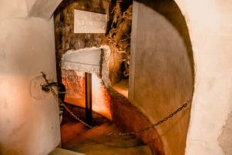 Bonnievale : Captivated By Chardonnay - Who Would Love This Tour?