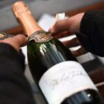 Bonnievale : Create Cap Classique - The Underground Circle Route and Tasting Experience