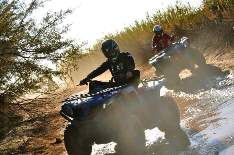 Book your Quad at the Palmeraie Marrakech online - Why This Tour Might Be Perfect for You