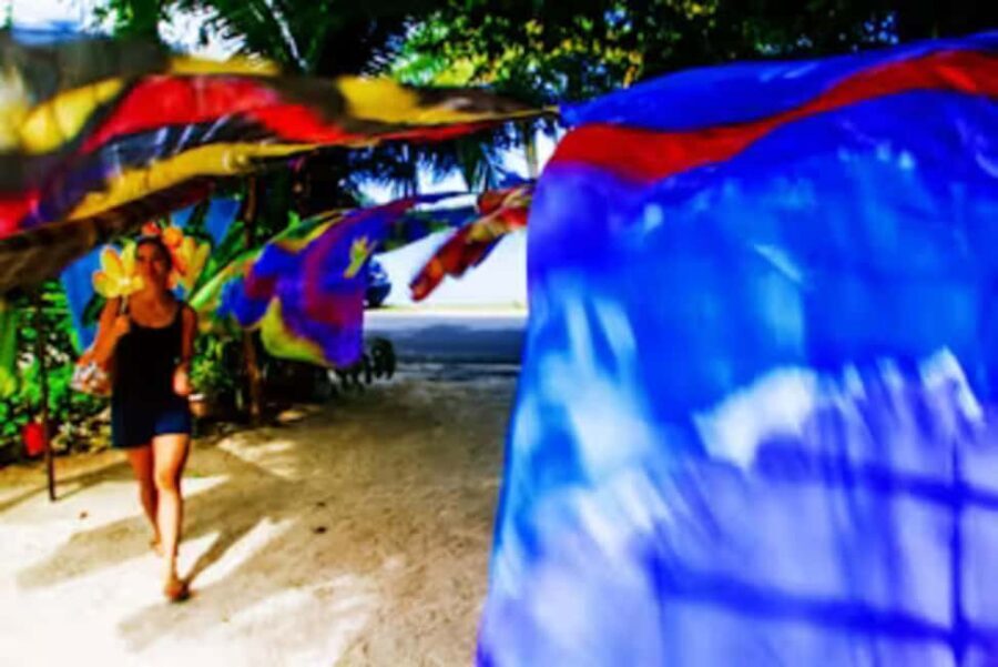 Bora Bora: 4WD History & Culture Tour - Authentic Experiences and Surprising Insights