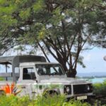 Bora Bora 4WD Tour Including Lunch at Lucky House & Jet Ski Tour - Authentic Experiences and Highlights from Reviewers