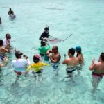 Bora Bora: Half-Day Lagoon Snorkelling Tour - Authentic Marine Encounters & Unique Highlights