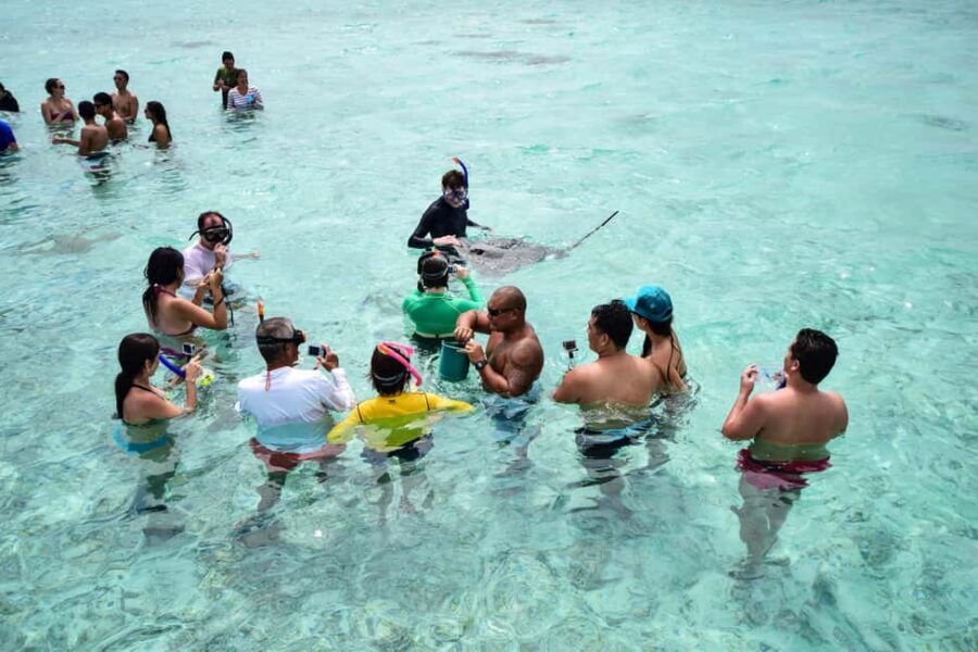 Bora Bora: Half-Day Lagoon Snorkelling Tour - Authentic Marine Encounters & Unique Highlights