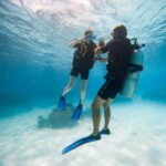 Bora Bora: Introductory Dive - Why You’ll Love This Experience