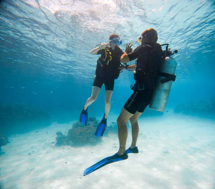 Bora Bora: Introductory Dive - Why You’ll Love This Experience