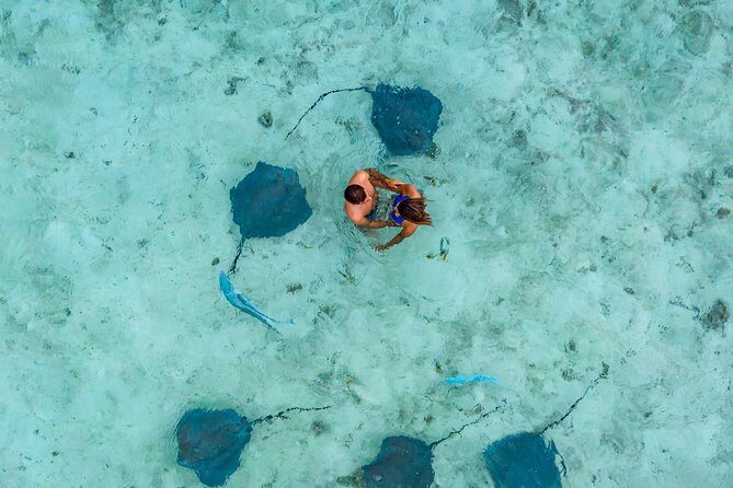 Bora Bora Jet Ski Tour, & Eco Shark / Ray Snorkel Cruise - Who Should Consider This Tour?