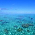 Bora Bora: Luxury Private Half Day Snorkeling Tour - The Itinerary: What to Expect