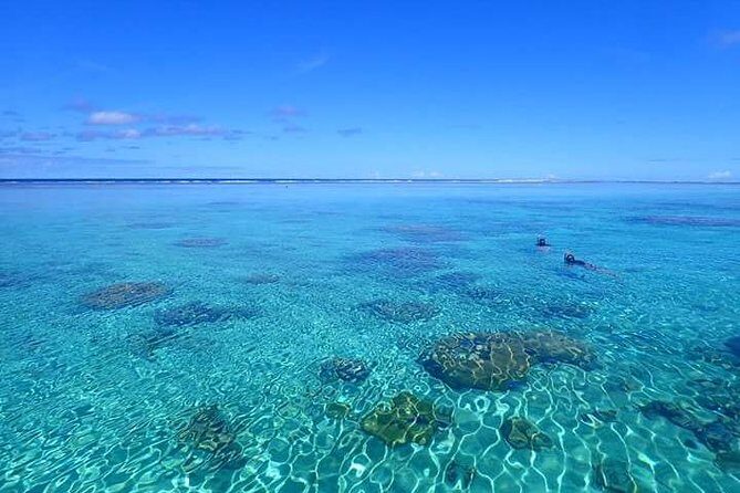 Bora Bora: Luxury Private Half Day Snorkeling Tour - The Itinerary: What to Expect
