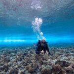 Bora Bora: Morning 2 tank dive for certified divers - Who Will Love This Tour?