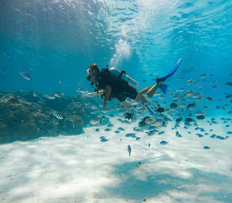 Bora Bora: Romantic Dive for Two People (Beginners) - The Practicalities