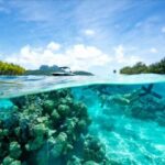 Bora Bora: Snorkeling and Fishing Tour with Lunch Option - Why the Price Reflects Value
