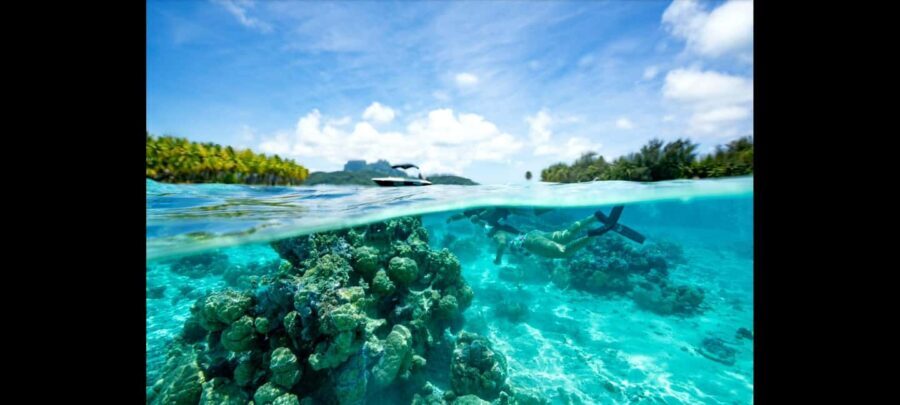 Bora Bora: Snorkeling and Fishing Tour with Lunch Option - Why the Price Reflects Value