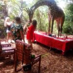 Borabora: Animal Park Guided and Bush Tour - What’s Included and What to Bring