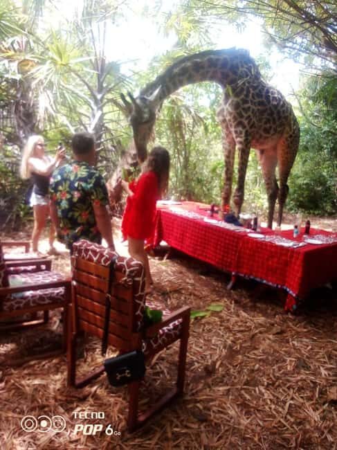 Borabora: Animal Park Guided and Bush Tour - What’s Included and What to Bring