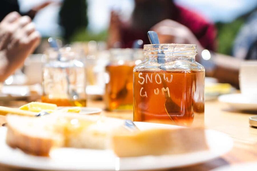 Bowral Honey Farm Tour, Honey Tasting & morning Tea - The Sum Up