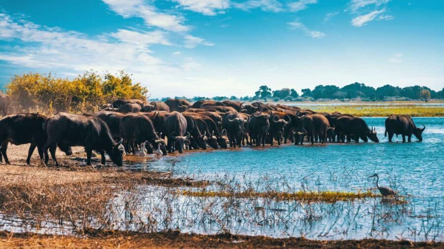 Breathtaking to Lake Manyara National Park Daytrip - What’s Included and What’s Not