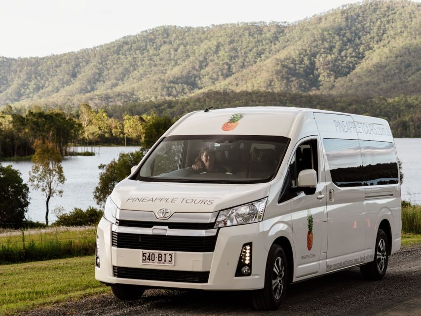Brisbane: Daytime Glow Worm Caves Hop-on Hop-off Bus Tour - Exploring Tamborine Mountain at Your Own Pace