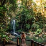 Brisbane: Hop on Hop off Bus to Tamborine Mountain - Authentic Experiences & Insights from Reviewers