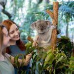 Brisbane: Lone Pine Koala Sanctuary Day Pass - A Detailed Look at the Lone Pine Koala Sanctuary Experience
