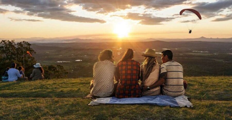 Brisbane: Luxury Winery Tour with Gourmet Lunch & Distillery - The Experience in Perspective