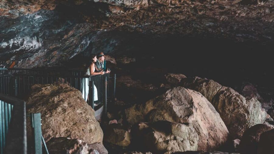 Brisbane: Rainforests, Waterfalls and Glow Worm Cave Tour - What You Get for Your Money
