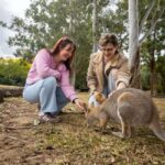 Brisbane River Cruise and Koala Sanctuary Visit - Practical Details: What to Expect