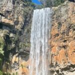 Brisbane: Springbrook 7 Waterfalls and Natural Bridge Day Tour - The Sum Up
