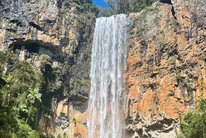 Brisbane: Springbrook 7 Waterfalls and Natural Bridge Day Tour - The Sum Up