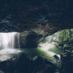 Brisbane: Springbrook 7 Waterfalls and Natural Bridge Tour - Who Would Love This Tour?