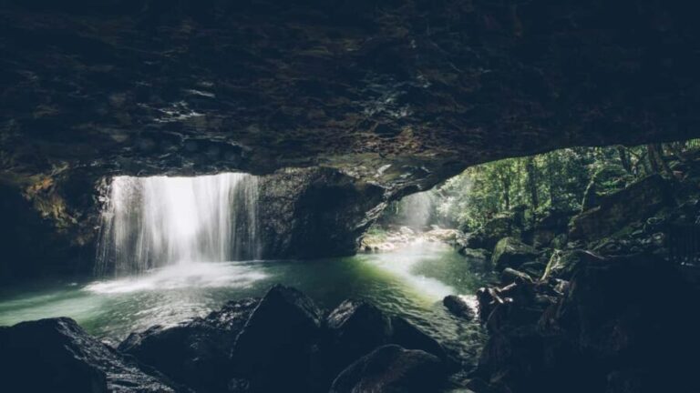 Brisbane: Springbrook 7 Waterfalls and Natural Bridge Tour - Who Would Love This Tour?