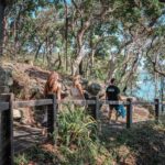 Brisbane: Sunshine Coast Hinterland & Noosa Small Group Tour - FAQ