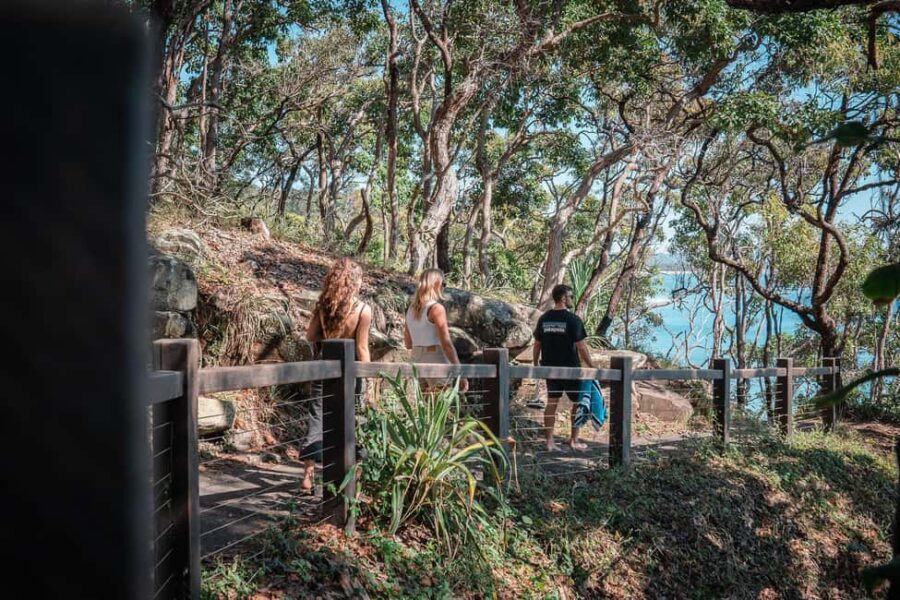 Brisbane: Sunshine Coast Hinterland & Noosa Small Group Tour - FAQ