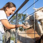 Brisbane: Trevena Glen Farm 1hr Animal Experience - The Value of a 1-Hour Experience
