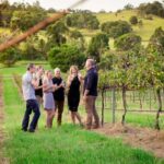 Brisbane: Wine & Dine In The Vines - Practical Considerations and Tips