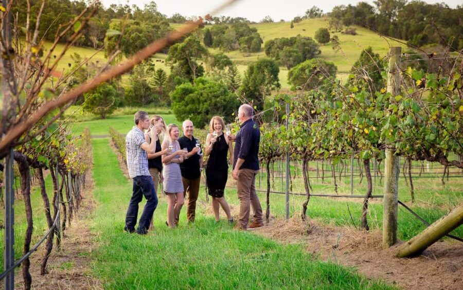 Brisbane: Wine & Dine In The Vines - Practical Considerations and Tips
