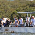 Broken Bay Pearl & Oyster Farm Tours - Why You’ll Love the Broken Bay Pearl & Oyster Farm Tour