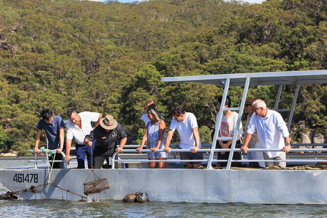 Broken Bay Pearl & Oyster Farm Tours - Why You’ll Love the Broken Bay Pearl & Oyster Farm Tour