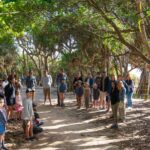 Broken Head Aboriginal Tour - What to Expect from the Broken Head Aboriginal Tour