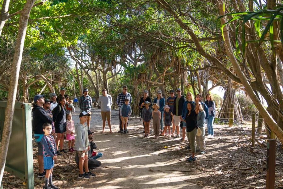 Broken Head Aboriginal Tour - What to Expect from the Broken Head Aboriginal Tour