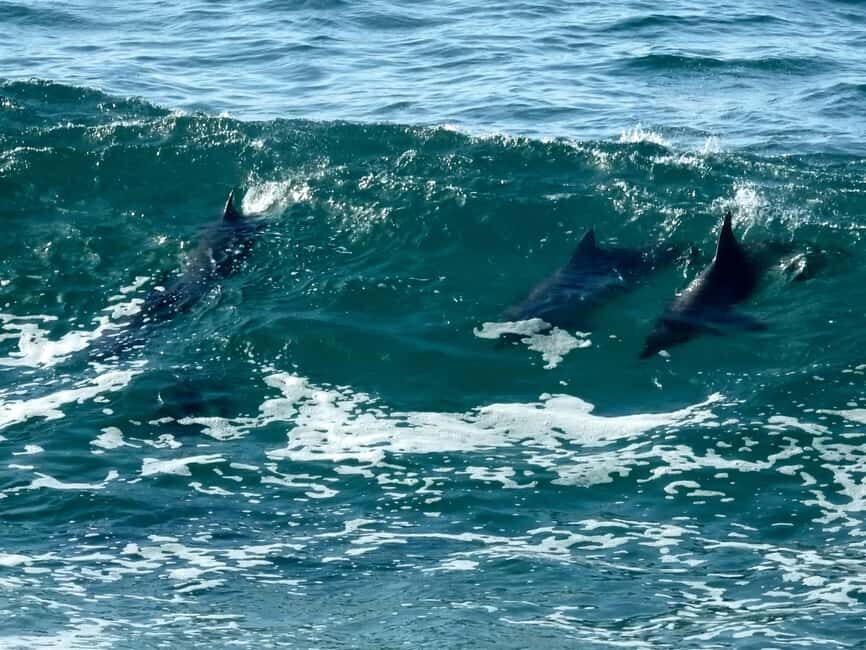 Broken Head: Nature Reserve Guided Eco-Tour with Beach Visit - The Value of This Eco-Tour