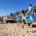 Broome: 45-Minute Pre-Sunset Cable Beach Camel Ride - The Safety Induction and Mounting